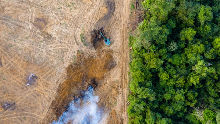 The plan will aim to protect a percentage of the Earth's land and sea